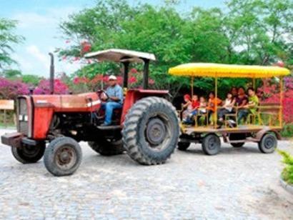 Pousada Fazenda Santa Fe Bezerros Eksteriør billede